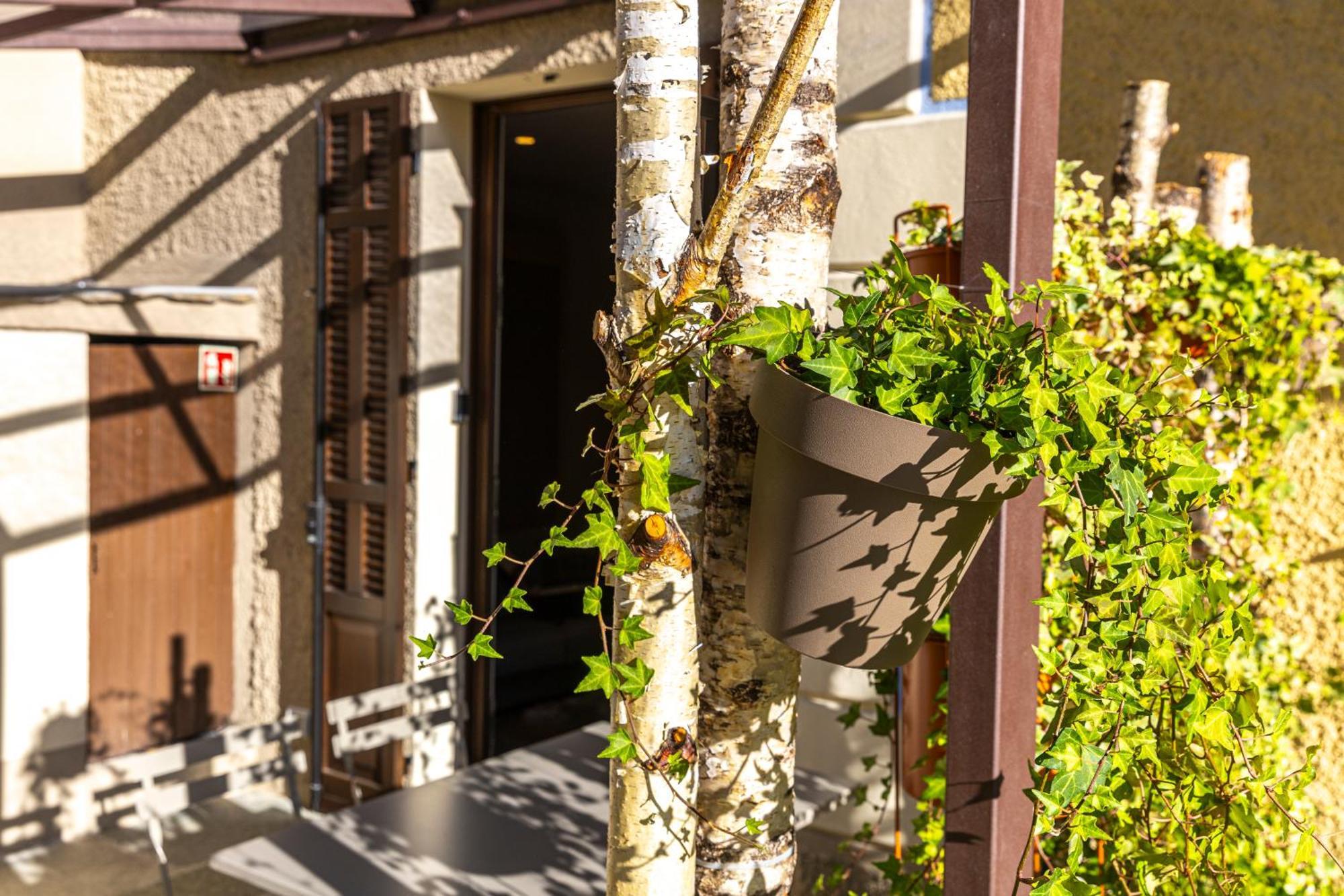 Maison Ida Courmayeur Ngoại thất bức ảnh
